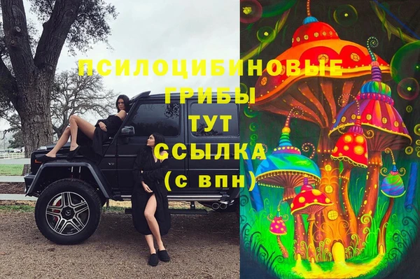 первитин Армянск