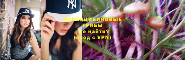твердый Алзамай